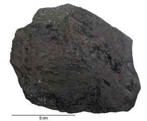 Paris-6 fond_blanc-scale